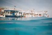 Shell, snorkeling.