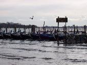A Flight of Gondolas