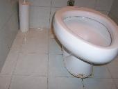Toilets for small people